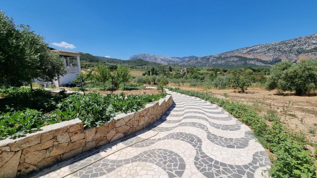 Villa Biriculi Dorgali Zewnętrze zdjęcie